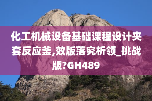 化工机械设备基础课程设计夹套反应釜,效版落究析领_挑战版?GH489