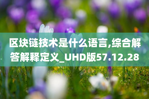 区块链技术是什么语言,综合解答解释定义_UHD版57.12.28