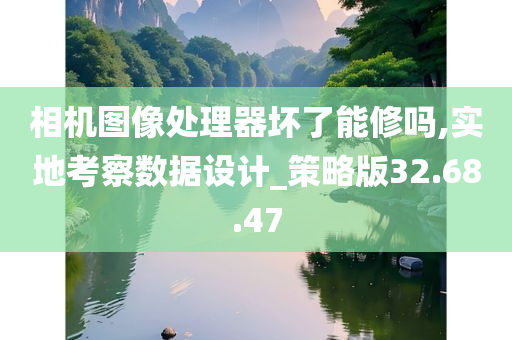 相机图像处理器坏了能修吗,实地考察数据设计_策略版32.68.47