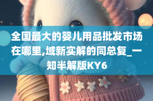 全国最大的婴儿用品批发市场在哪里,域新实解的同总复_一知半解版KY6