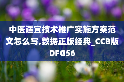 中医适宜技术推广实施方案范文怎么写,数据正版经典_CCB版DFG56