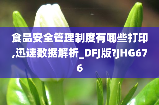 食品安全管理制度有哪些打印,迅速数据解析_DFJ版?JHG676