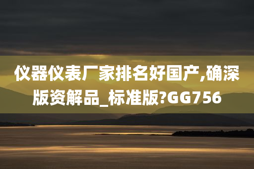 仪器仪表厂家排名好国产,确深版资解品_标准版?GG756