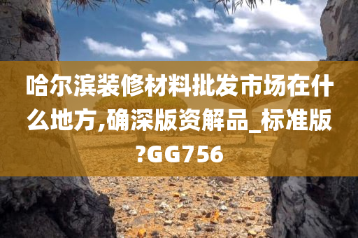 哈尔滨装修材料批发市场在什么地方,确深版资解品_标准版?GG756