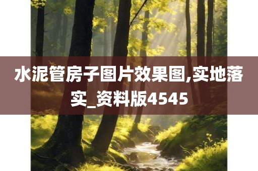 水泥管房子图片效果图,实地落实_资料版4545