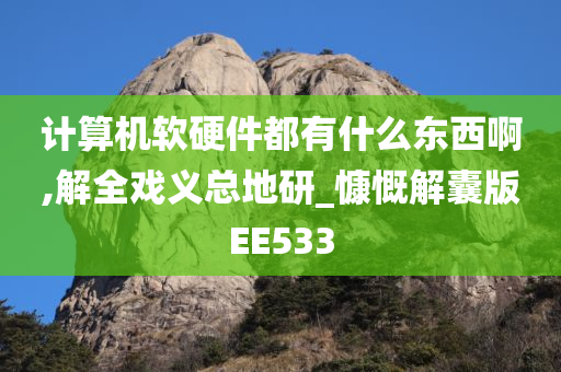 计算机软硬件都有什么东西啊,解全戏义总地研_慷慨解囊版EE533