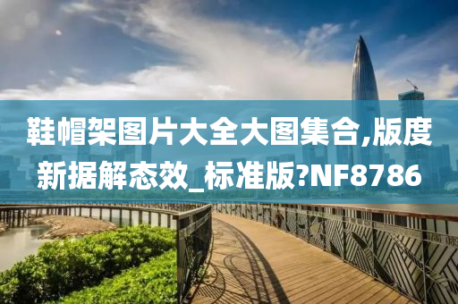 鞋帽架图片大全大图集合,版度新据解态效_标准版?NF8786