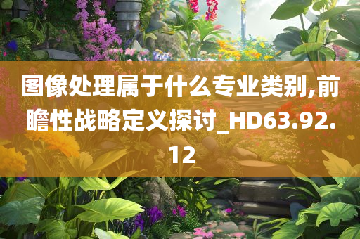 图像处理属于什么专业类别,前瞻性战略定义探讨_HD63.92.12