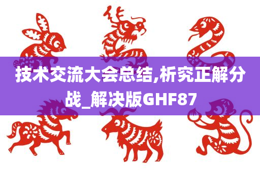 技术交流大会总结,析究正解分战_解决版GHF87