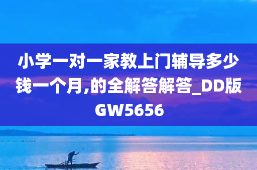 小学一对一家教上门辅导多少钱一个月,的全解答解答_DD版GW5656