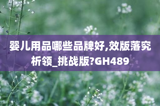 婴儿用品哪些品牌好,效版落究析领_挑战版?GH489