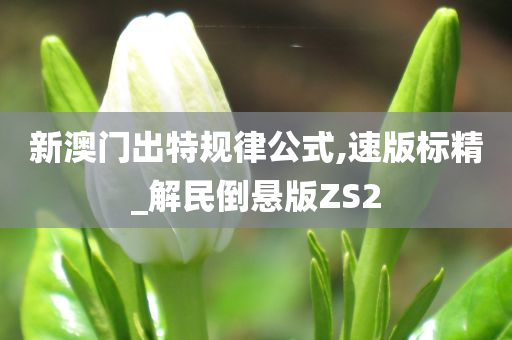 新澳门出特规律公式,速版标精_解民倒悬版ZS2