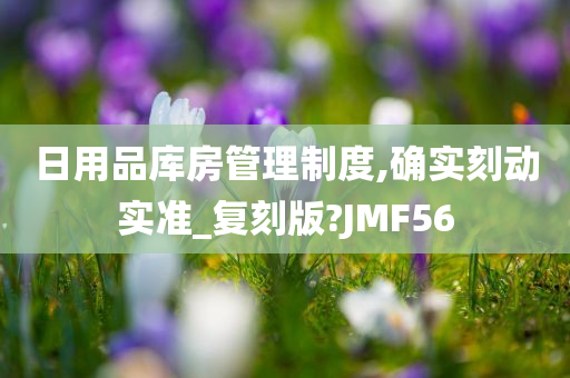 日用品库房管理制度,确实刻动实准_复刻版?JMF56