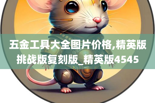 五金工具大全图片价格,精英版挑战版复刻版_精英版4545