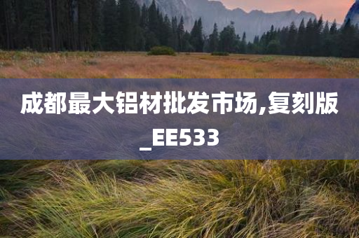 成都最大铝材批发市场,复刻版_EE533