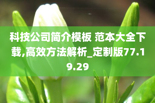 科技公司简介模板 范本大全下载,高效方法解析_定制版77.19.29