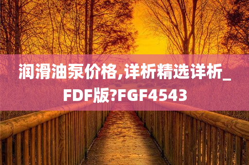 润滑油泵价格,详析精选详析_FDF版?FGF4543