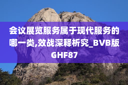 会议展览服务属于现代服务的哪一类,效战深释析究_BVB版GHF87