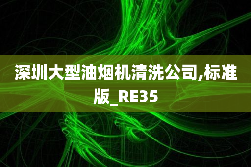 深圳大型油烟机清洗公司,标准版_RE35