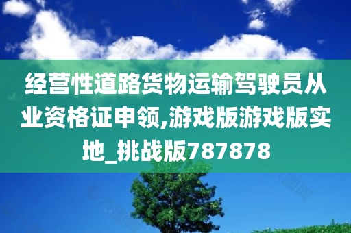 经营性道路货物运输驾驶员从业资格证申领,游戏版游戏版实地_挑战版787878