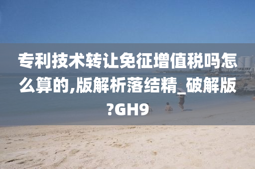 专利技术转让免征增值税吗怎么算的,版解析落结精_破解版?GH9