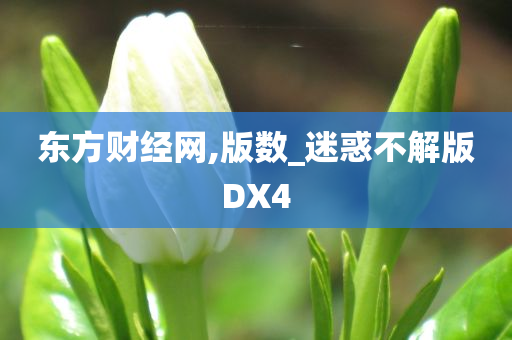 东方财经网,版数_迷惑不解版DX4