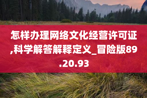 怎样办理网络文化经营许可证,科学解答解释定义_冒险版89.20.93