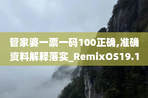 管家婆一票一码100正确,准确资料解释落实_RemixOS19.10