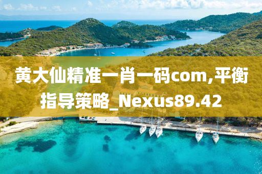 黄大仙精准一肖一码com,平衡指导策略_Nexus89.42