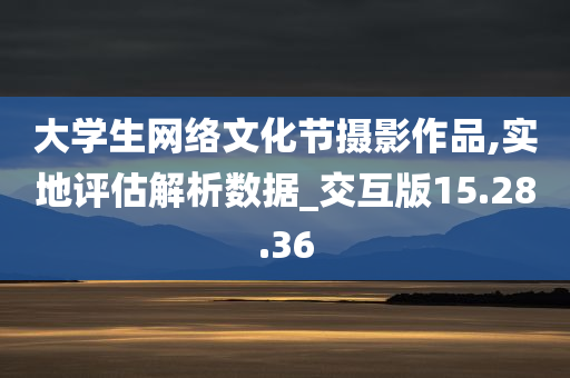 大学生网络文化节摄影作品,实地评估解析数据_交互版15.28.36