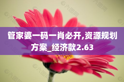 管家婆一码一肖必开,资源规划方案_经济款2.63