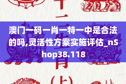 澳门一码一肖一特一中是合法的吗,灵活性方案实施评估_nShop38.118