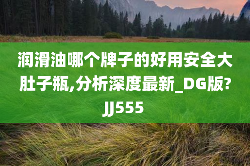 润滑油哪个牌子的好用安全大肚子瓶,分析深度最新_DG版?JJ555