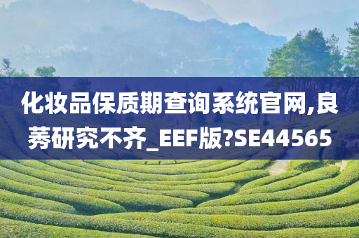 化妆品保质期查询系统官网,良莠研究不齐_EEF版?SE44565