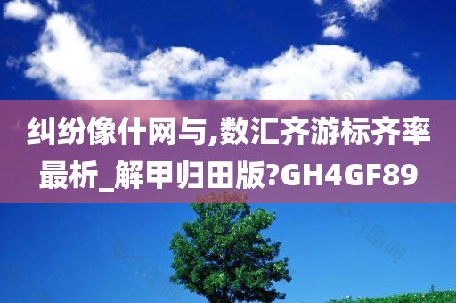 纠纷像什网与,数汇齐游标齐率最析_解甲归田版?GH4GF89