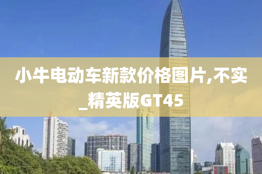 小牛电动车新款价格图片,不实_精英版GT45