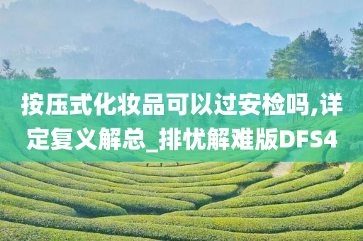 按压式化妆品可以过安检吗,详定复义解总_排忧解难版DFS4