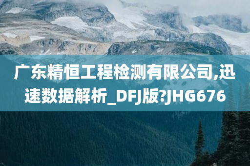 广东精恒工程检测有限公司,迅速数据解析_DFJ版?JHG676