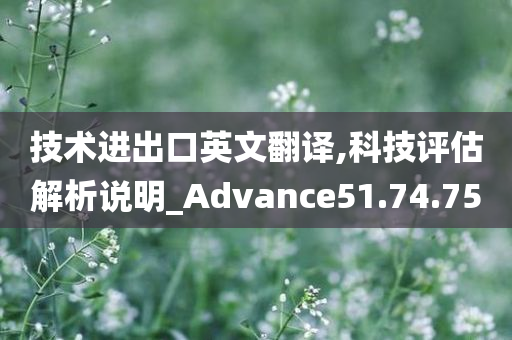 技术进出口英文翻译,科技评估解析说明_Advance51.74.75