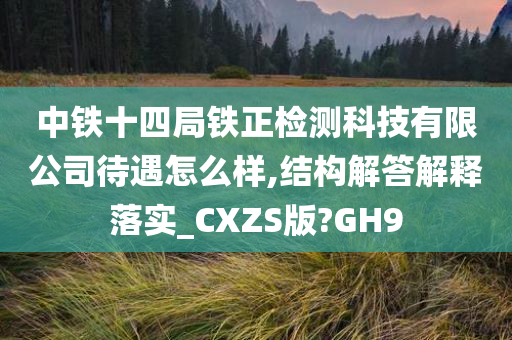 中铁十四局铁正检测科技有限公司待遇怎么样,结构解答解释落实_CXZS版?GH9