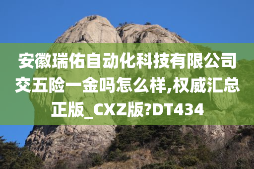 安徽瑞佑自动化科技有限公司交五险一金吗怎么样,权威汇总正版_CXZ版?DT434