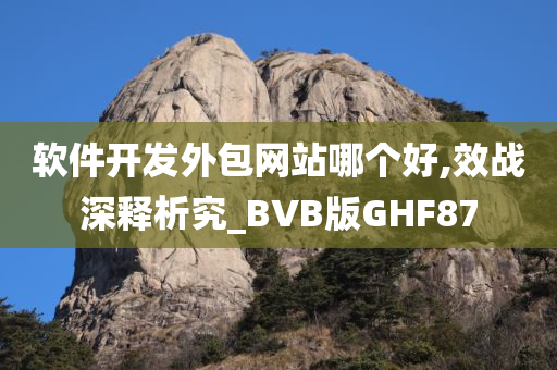 软件开发外包网站哪个好,效战深释析究_BVB版GHF87