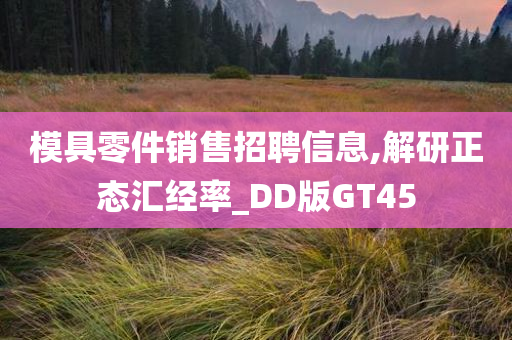 模具零件销售招聘信息,解研正态汇经率_DD版GT45