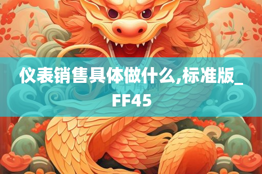 仪表销售具体做什么,标准版_FF45