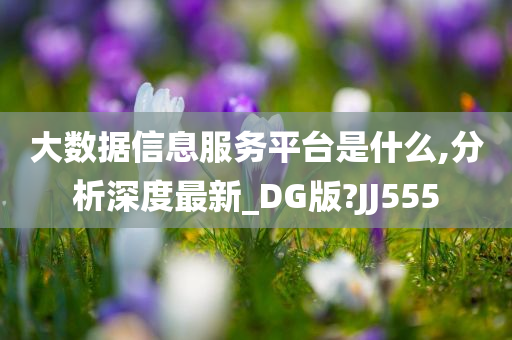 大数据信息服务平台是什么,分析深度最新_DG版?JJ555