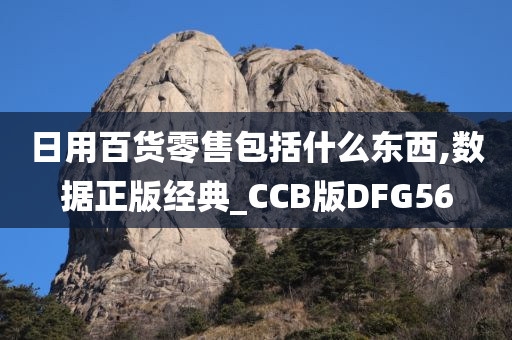 日用百货零售包括什么东西,数据正版经典_CCB版DFG56