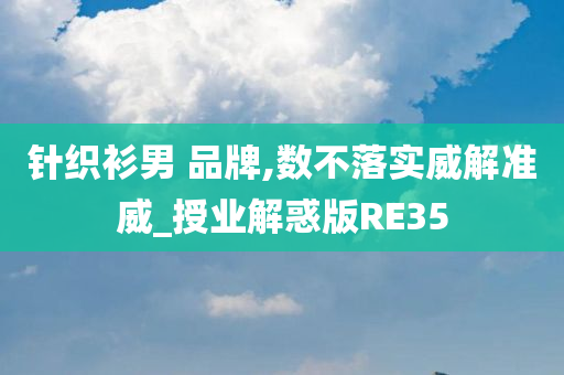 针织衫男 品牌,数不落实威解准威_授业解惑版RE35