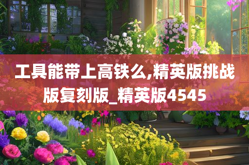 工具能带上高铁么,精英版挑战版复刻版_精英版4545