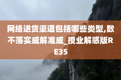 网络进货渠道包括哪些类型,数不落实威解准威_授业解惑版RE35