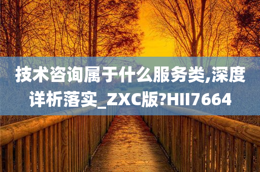 技术咨询属于什么服务类,深度详析落实_ZXC版?HII7664